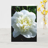 Elegantes Foto aus weißer Blume mit Blumen Karte (Gelbe Blume)