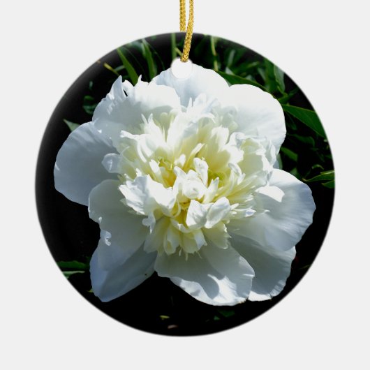 Elegantes Foto aus weißer Blume mit Blumen Keramik Ornament (Vorne)