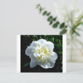 Elegantes Foto aus weißer Blume mit Blumen Postkarte (Stehend Vorderseite)