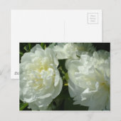 Elegantes Foto aus weißer Blume mit Blumen Postkarte (Vorne/Hinten)