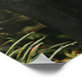 Elegantes Foto Hochzeitskarte, 20 Tische Poster (Ecke)