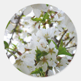 Elegantes Foto mit weißer Blüte Runder Aufkleber