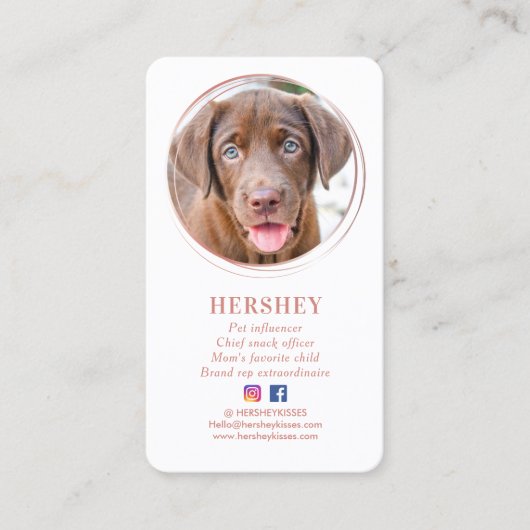 Elegantes Foto Rose Gold Dog Pet Social Media Visitenkarte (Vorderseite)