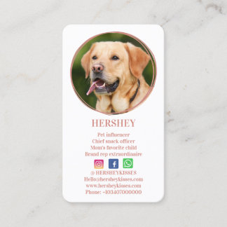 Elegantes Foto Rose Gold Dog Pet Social Media Visitenkarte