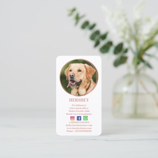 Elegantes Foto Rose Gold Dog Pet Social Media Visitenkarte (Stehend Vorderseite)