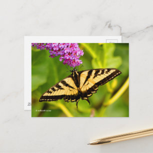 Elegantes Frack Butterfly über Butterfly Bush Postkarte