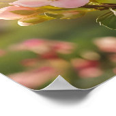 Elegantes Geisttier: Hummingbird im Flug Poster (Ecke)