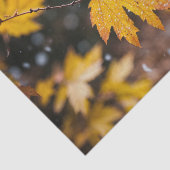 "Elegantes Gemustertes Gewebe" Seidenpapier (Ausschnitt)