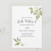 Elegantes Gipskraut Grüne Botanische Flora Save The Date (Vorne/Hinten)