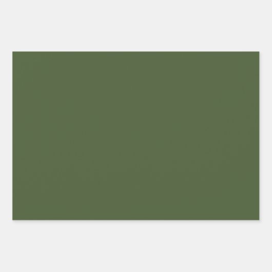 Elegantes Grasgrün Minimalistisch und elegant Geschenkpapier Set (Vorderseite 3)