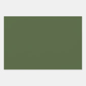 Elegantes Grasgrün Minimalistisch und elegant Geschenkpapier Set (Vorderseite 2)