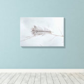 Elegantes, graues Gepunktetes Feather am Zweig Leinwanddruck (Insitu (Holzboden))