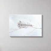 Elegantes, graues Gepunktetes Feather am Zweig Leinwanddruck (Vorderseite)