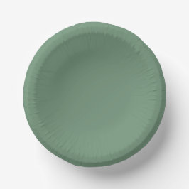 Elegantes Green Winter Paper Plate Pappteller