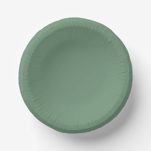 Elegantes Green Winter Paper Plate Pappteller (Vorderseite)