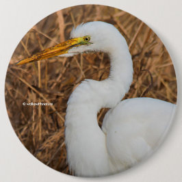 Elegantes Grosses Egret in den Reds Button