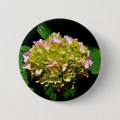 Elegantes, grünes, rosa grünes, blumengrünes Hydra Button (Vorderseite)