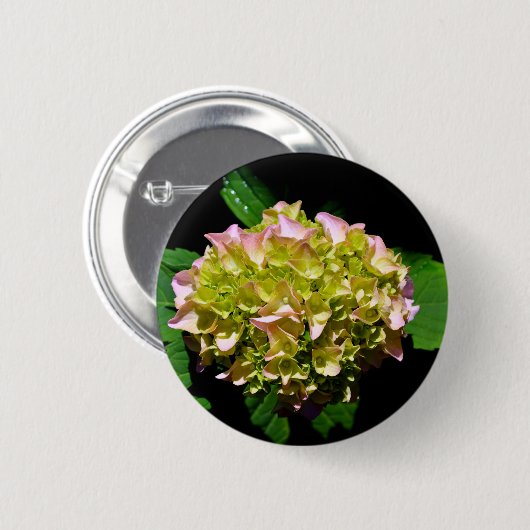 Elegantes, grünes, rosa grünes, blumengrünes Hydra Button (Vorne & Hinten)