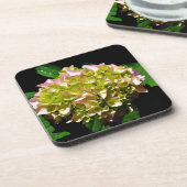 Elegantes, grünes, rosa grünes, blumengrünes Hydra Getränkeuntersetzer (Linke Seite)