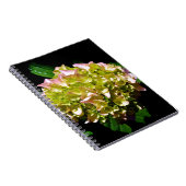 Elegantes, grünes, rosa grünes, blumengrünes Hydra Notizblock (Rechte Seite)