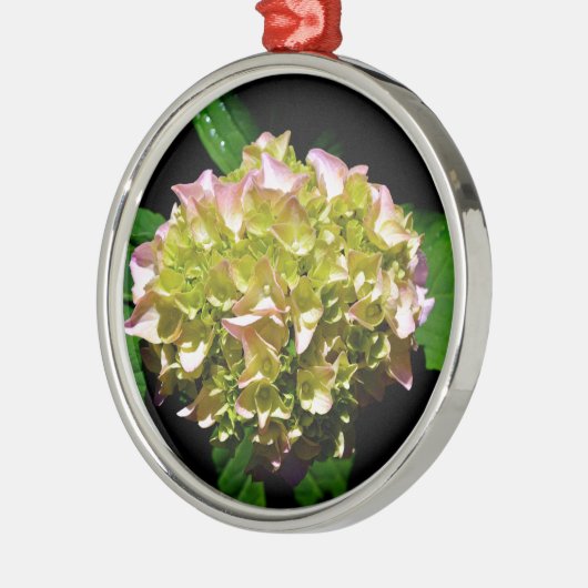 Elegantes, grünes, rosa grünes, blumengrünes Hydra Ornament Aus Metall (Links)