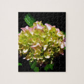 Elegantes, grünes, rosa grünes, blumengrünes Hydra Puzzle (Vertikal)