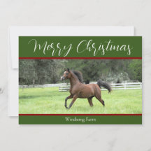 Elegantes grünes Rotes Arabisches Pferd 1 Foto Wei