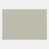 Elegantes, hellgraugrünes Minimalistisch und elega Geschenkpapier Set (Vorderseite 3)