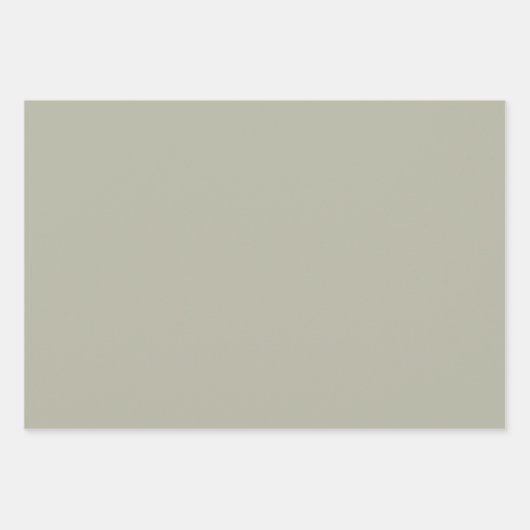 Elegantes, hellgraugrünes Minimalistisch und elega Geschenkpapier Set (Vorderseite)