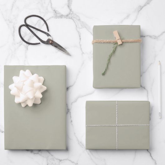 Elegantes, hellgraugrünes Minimalistisch und elega Geschenkpapier Set (Vorderseite)