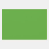 Elegantes, hellgrün Minimalistisch und elegant Geschenkpapier Set (Vorderseite 2)