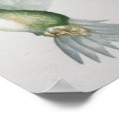 Elegantes Hummingbird Watercolor Poster (Ecke)