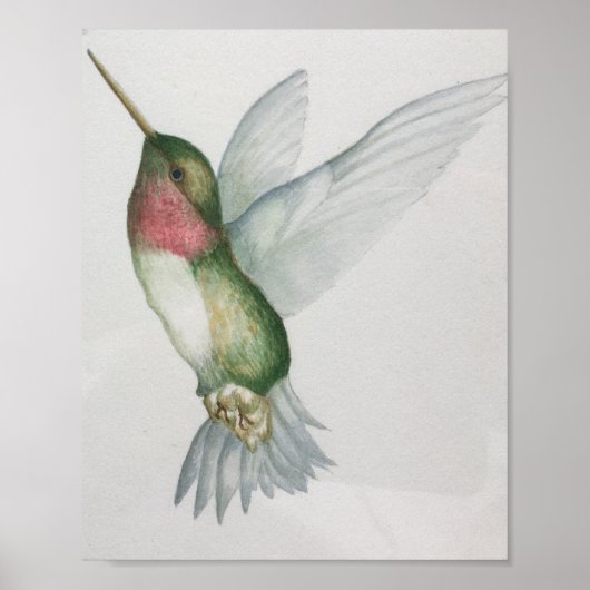 Elegantes Hummingbird Watercolor Poster (Vorne)