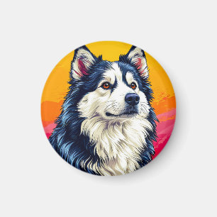 Elegantes Husky-Portrait mit lebendigem Sonnenunte Magnet