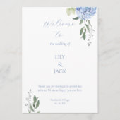 Elegantes Hydrangea-Programm für Weiß und Blauer F Programm (Vorderseite)