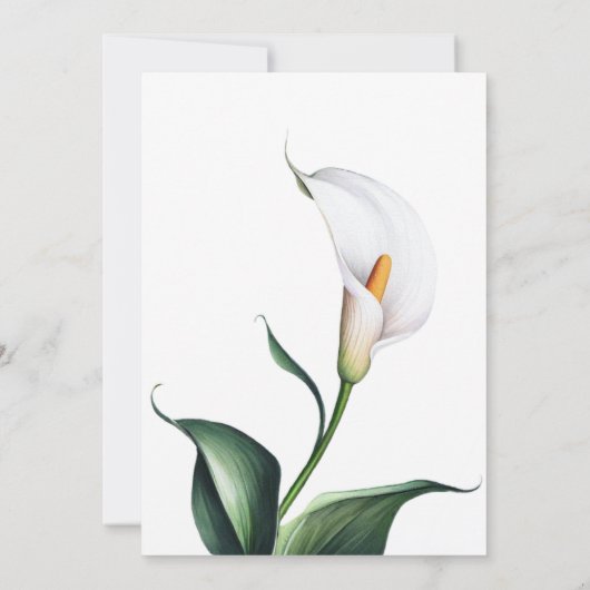 Elegantes Ivory White Calla Lily Brautparty Einladung (Rückseite)