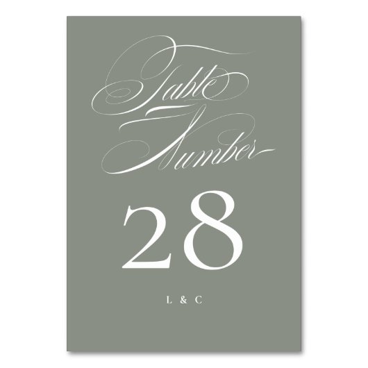 Elegantes klassisches Grau auf weißer kalligrafisc Tischnummer (Vorderseite)