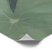 Elegantes Koi-Fischteich-Serenitätsdesign Poster (Ecke)