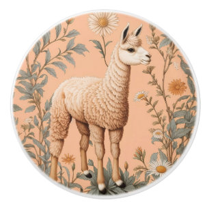 Elegantes Lama und Gänseblümchen auf Pfirsich Keramikknauf