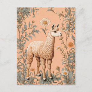 Elegantes Lama und Gänseblumen auf Pfirsich Postkarte