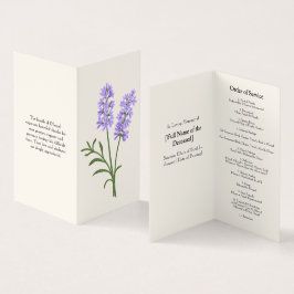 Elegantes Lavenderbeerprogramm