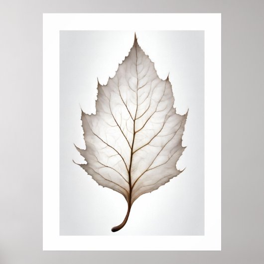 Elegantes Leaf Natures Vein Artprint Poster (Vorne)