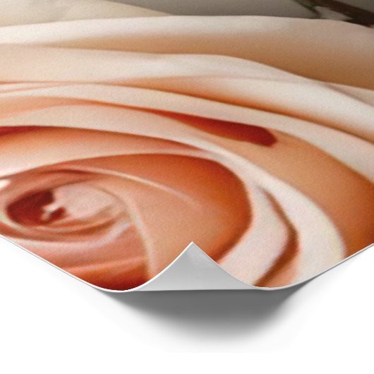 Elegantes Liebe-Zitat mit Rose Poster (Ecke)