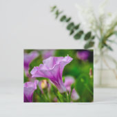 Elegantes Lila Bloom im Fokus Postkarte (Stehend Vorderseite)