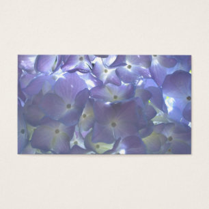 Elegantes, lila, blumengeschmücktes lila Hydrangea
