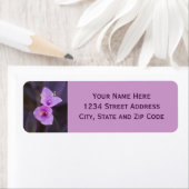 Elegantes Lila Foto (Insitu)