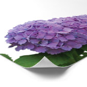 Elegantes Lila Hydrangea Hochzeitssattel Poster (Ecke)