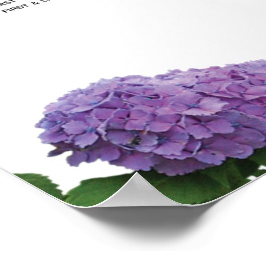 Elegantes Lila Hydrangea Hochzeitssattel Poster (Ecke)