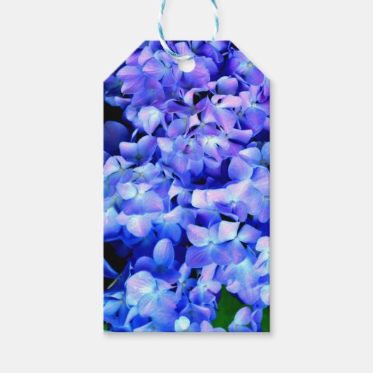 Elegantes lila Magenta Blumenhydrangea Geschenkanhänger (Vorderseite)