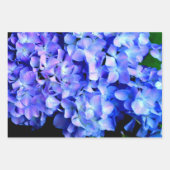 Elegantes lila Magenta Blumenhydrangea Geschenkpapier Set (Vorderseite 2)